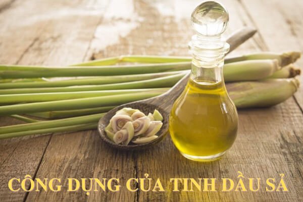Công dụng của tinh dầu sả Công dụng của tinh dầu sả