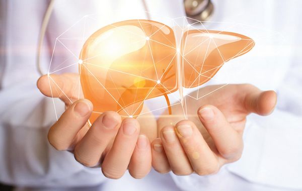 Hỗ trợ thải độc gan hiệu quả Hỗ trợ thải độc gan hiệu quả