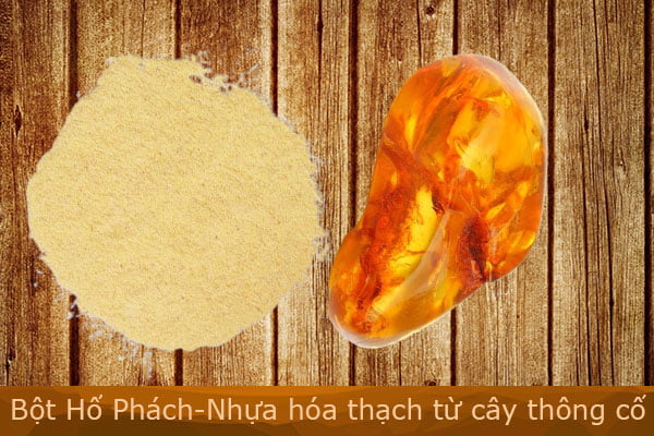 Bột Hổ Phách có nguồn gốc từ cây thông cổ