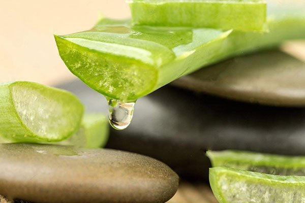 Công dụng của chiết xuất nha đam trong làm đẹp Công dụng của chiết xuất nha đam trong làm đẹp
