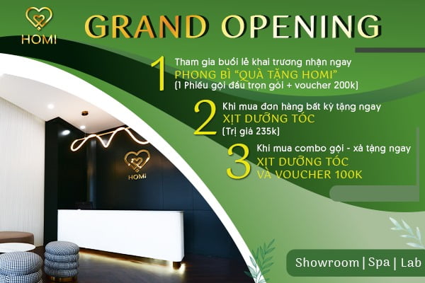 Những ưu đãi mà Homi muốn dành đến bạn